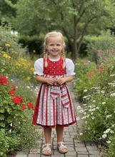 Lade das Bild in den Galerie-Viewer, Mädchen Dirndl rot aus Baumwolle – Kinder Trachtenkleid – Traditionelles Dirndl Kleid für Mädchen – Oktoberfest Kinder Dirndl