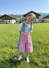 Lade das Bild in den Galerie-Viewer, Traditionelles Dirndl Kleid Blau Rosa – Klassische Trachtenmode – Festliches Outfit
